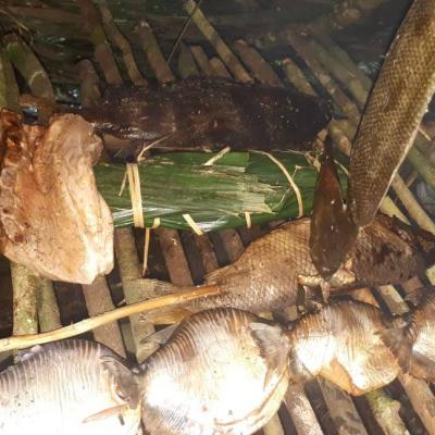 Img 20190520 Wa01501